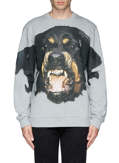 givenchy rottweiler dog sweater|givenchy rottweiler sweatshirt.